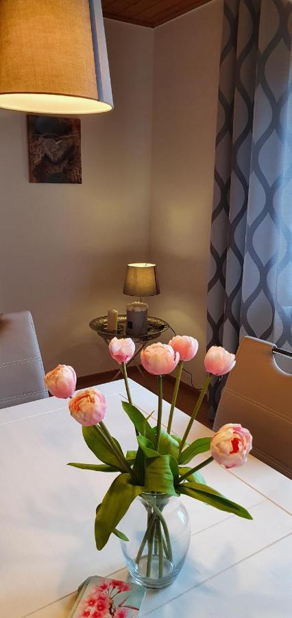 Moderne Ferienwohnung Mit Eigenem Garten Und Traumhaften Blick Wilhelmsthal Exteriér fotografie